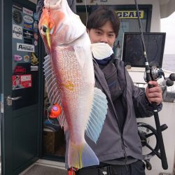 ARCADIAⅡ (アルカディアⅡ) 釣果