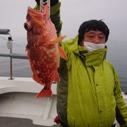 ARCADIAⅡ (アルカディアⅡ) 釣果