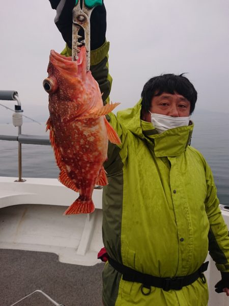 ARCADIAⅡ (アルカディアⅡ) 釣果