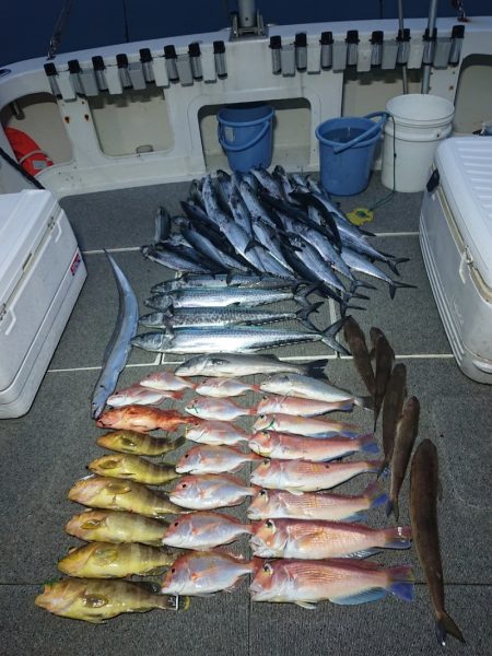 ARCADIAⅡ (アルカディアⅡ) 釣果