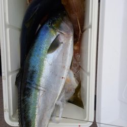 第二龍勢丸 釣果