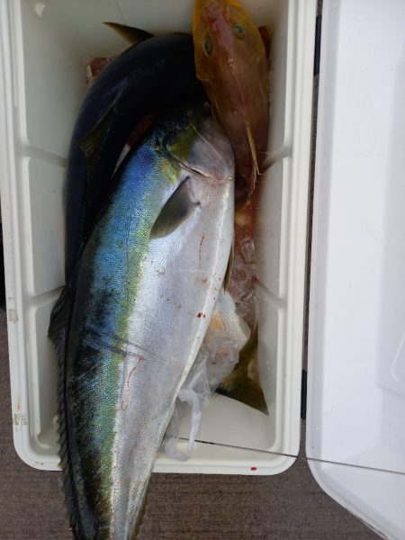 第二龍勢丸 釣果