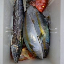 第二龍勢丸 釣果