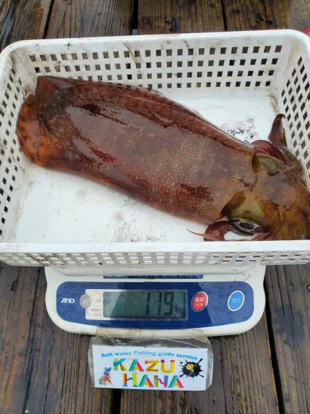 一華丸 釣果
