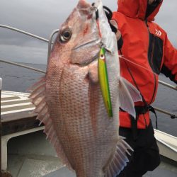 光生丸 釣果