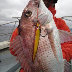 光生丸 釣果