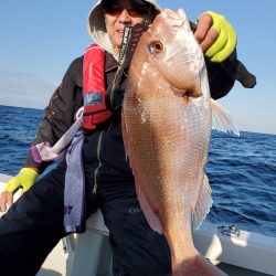 シーライオン 釣果