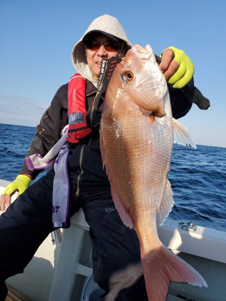 シーライオン 釣果