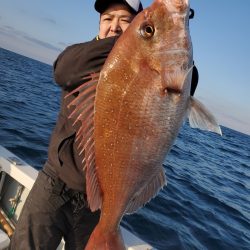 シーライオン 釣果