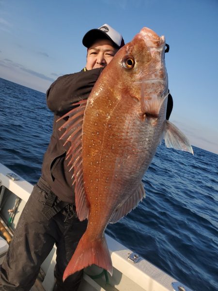 シーライオン 釣果