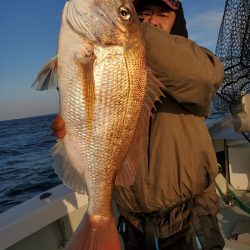 シーライオン 釣果