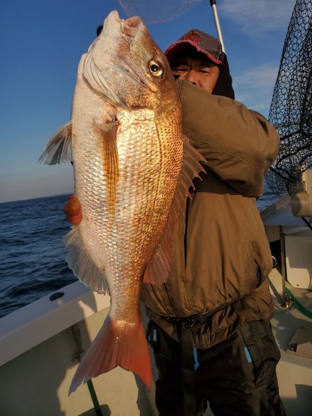 シーライオン 釣果