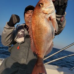 シーライオン 釣果