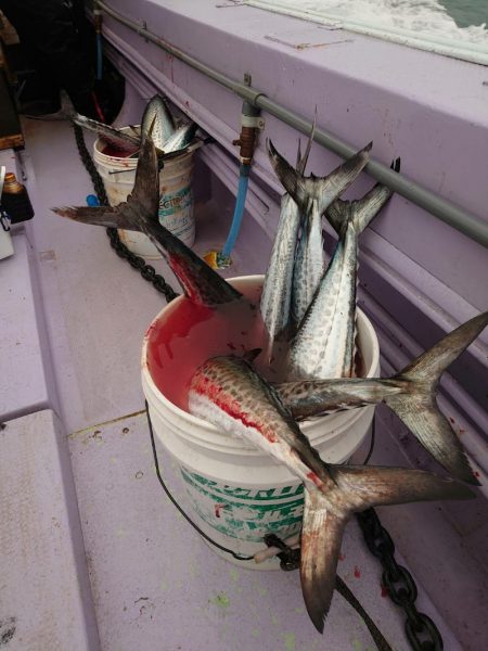 海龍丸（石川） 釣果