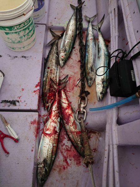 海龍丸（石川） 釣果