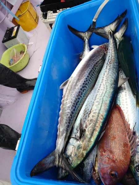 海龍丸（石川） 釣果