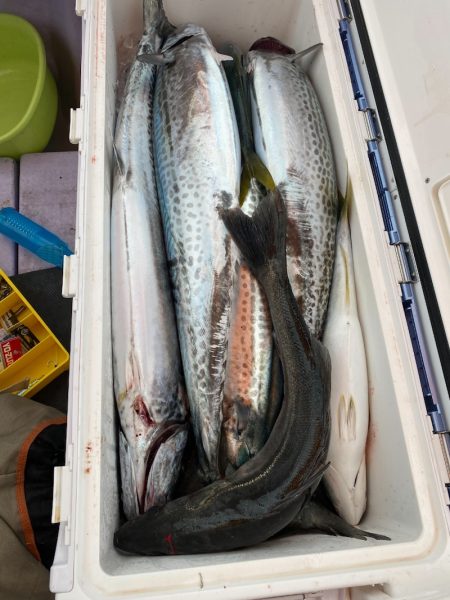 海龍丸（石川） 釣果