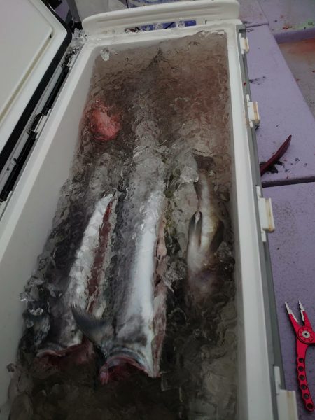 海龍丸（石川） 釣果