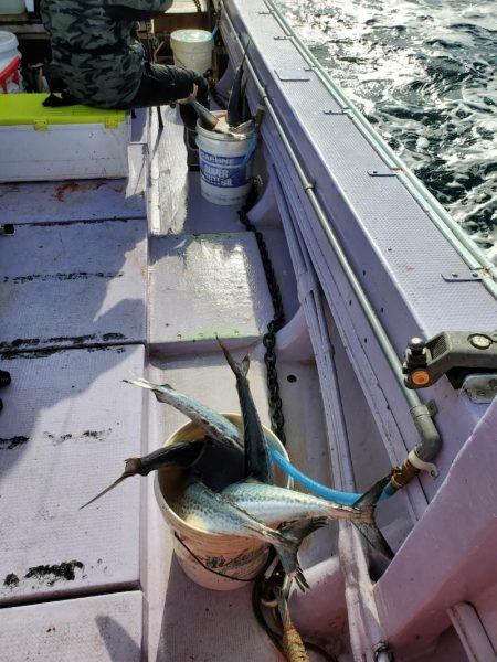 海龍丸（石川） 釣果