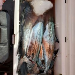 海龍丸（石川） 釣果