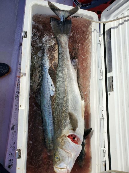 海龍丸（石川） 釣果