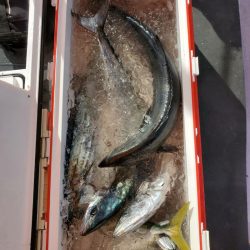 海龍丸（石川） 釣果