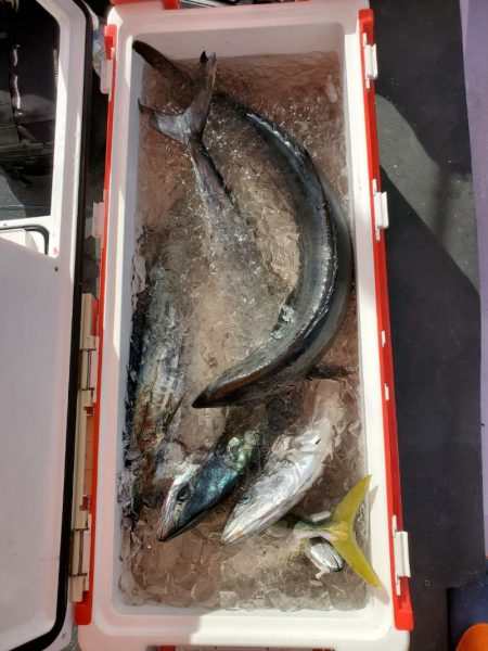 海龍丸（石川） 釣果