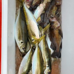 海龍丸(石川) 釣果