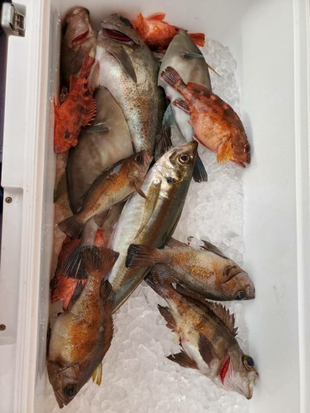 海龍丸(石川) 釣果