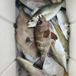 海龍丸(石川) 釣果