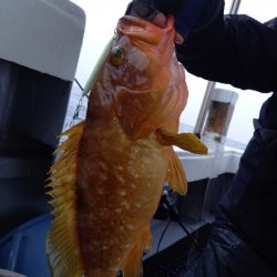 第二龍勢丸 釣果