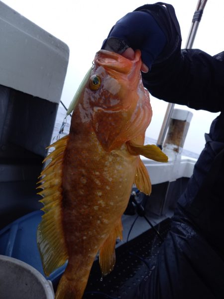 第二龍勢丸 釣果