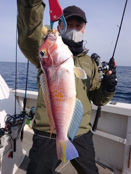 ARCADIAⅡ (アルカディアⅡ) 釣果