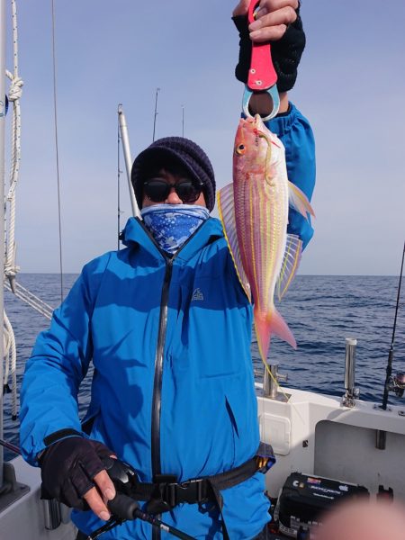 ARCADIAⅡ (アルカディアⅡ) 釣果