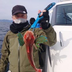 ARCADIAⅡ (アルカディアⅡ) 釣果