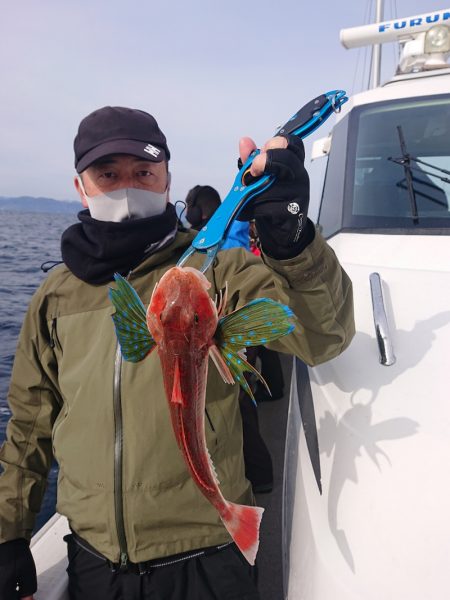 ARCADIAⅡ (アルカディアⅡ) 釣果