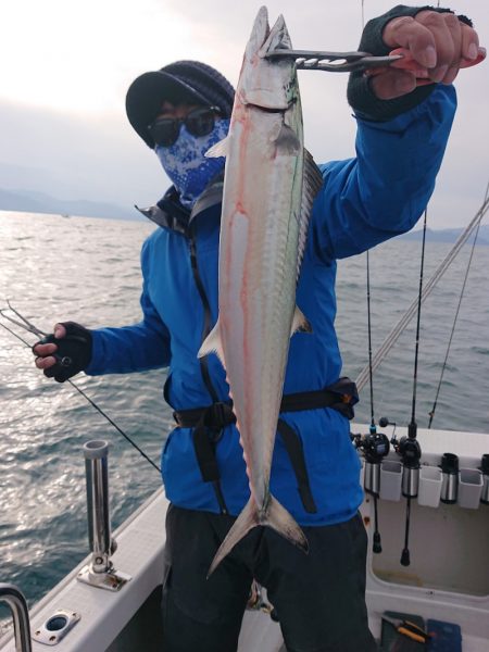 ARCADIAⅡ (アルカディアⅡ) 釣果