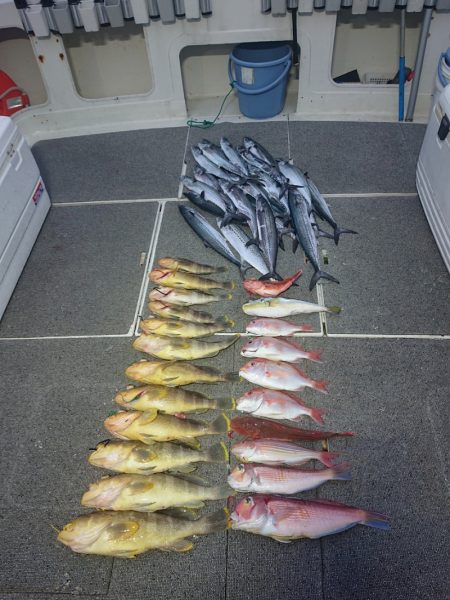 ARCADIAⅡ (アルカディアⅡ) 釣果