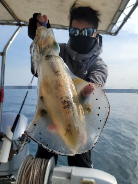 ソルトウォーターガイドフレンズ 釣果