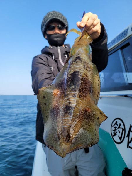 ソルトウォーターガイドフレンズ 釣果