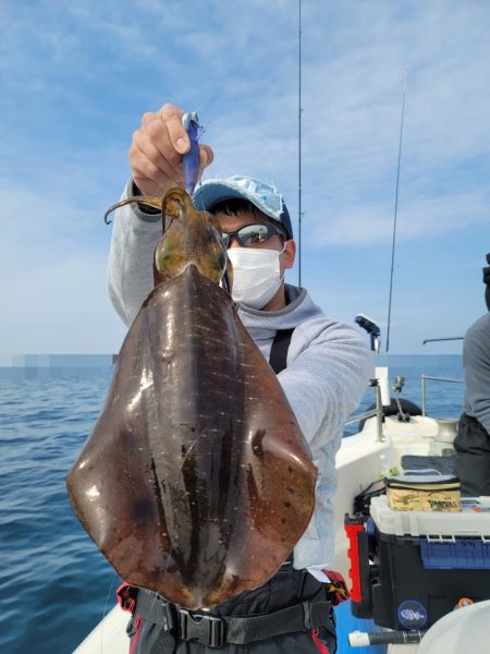 ソルトウォーターガイドフレンズ 釣果