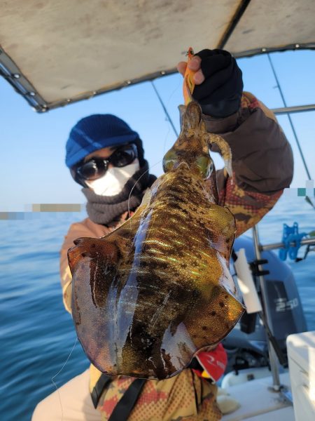 ソルトウォーターガイドフレンズ 釣果