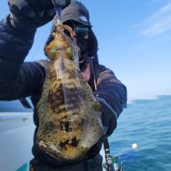 ソルトウォーターガイドフレンズ 釣果