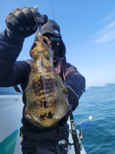 ソルトウォーターガイドフレンズ 釣果