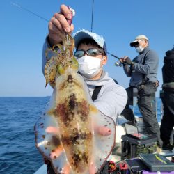 ソルトウォーターガイドフレンズ 釣果