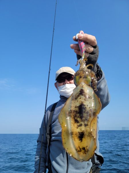 ソルトウォーターガイドフレンズ 釣果