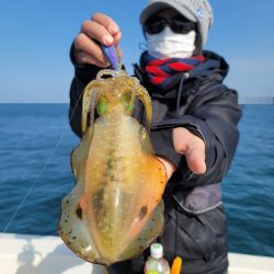 ソルトウォーターガイドフレンズ 釣果