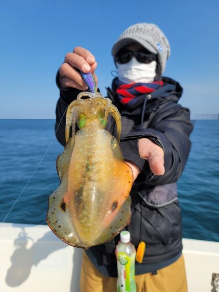 ソルトウォーターガイドフレンズ 釣果