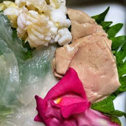 ブルースフィッシングサービス 釣果