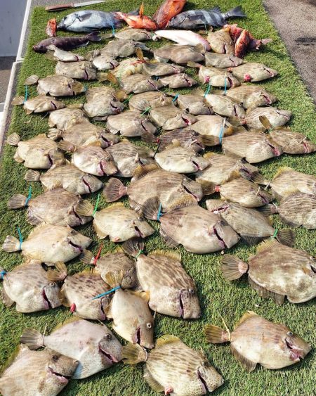 ブルースフィッシングサービス 釣果